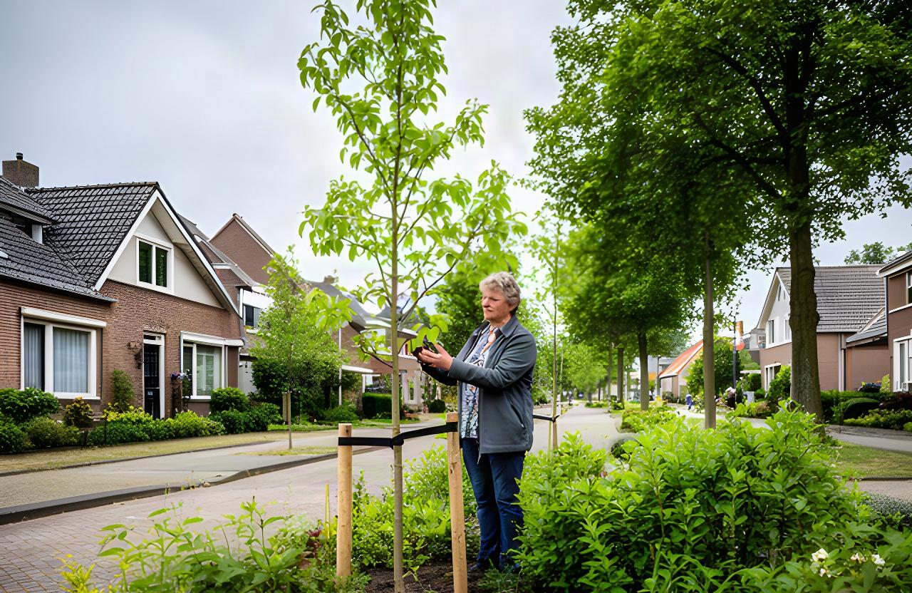 Een bewoner bekijkt jonge aanplant langs een groene straat in Druten, met woningen en bomen op de achtergrond